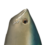 @matchamutant