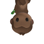 kelani