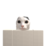 @NinjaSteban499