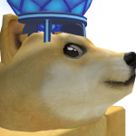@itsliamdoge
