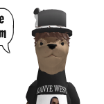 @crazybaboons