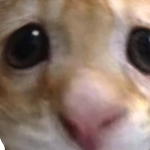 @Th3SoulSt3al3r