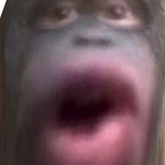 @WorkshopLime
