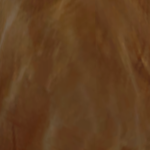@dancinglola2010