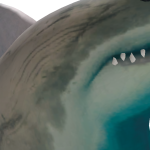 @Happy_mealshark
