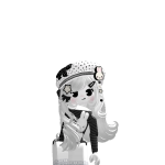 @77_qt