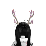 @anwariq8YT