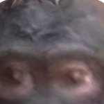 petardamarcel