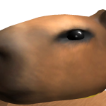 @iMurtle
