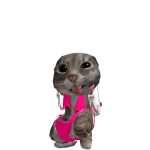 emisbd13licas