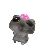 @Hayleng16