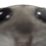 @ImNotEllipog