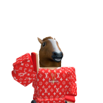 @King_Djordjee