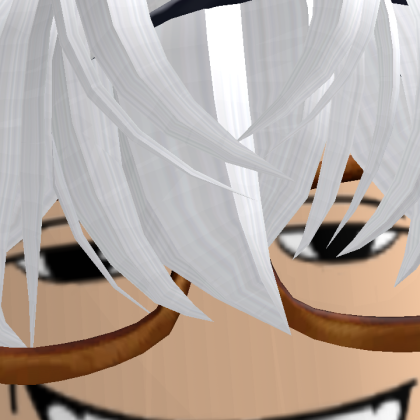 Roblox profile picture for @ZidSkyy