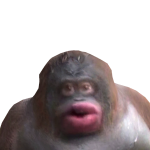 @tymed1003