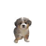 @XxjennaaxXX