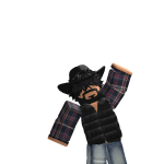 @seigeqhs