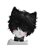 Disc_Void Roblox avatar