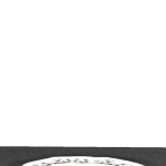 @fraudboss4891