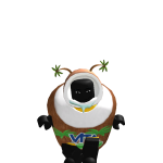 @robloxmaster_zahid