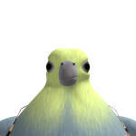 Reginald