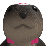 @CHIoECIaire