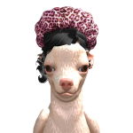 @ii_InvaderPlayz