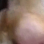 @Jailbreakfan111222