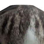 @llamalikeschips