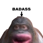 @MooseFabio467