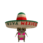 @avlsvp