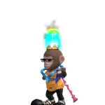 Cotorrito