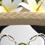 @EggBonez