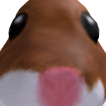 @rlawjddl040