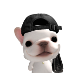 @Perrito57cute