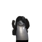 @j1kdan