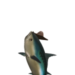 @WoomyChips
