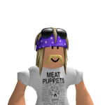 @neilsoup