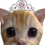 @sweetcats101