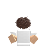 @bandz4birkins