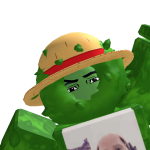 @BUSH20112