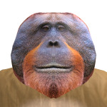 @kinggboii