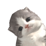 @cactas2020