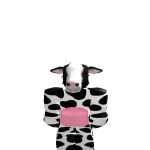 @AltAcountasXD