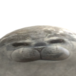 Himynameisnate3434