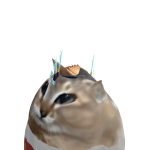 @robobloxpaul