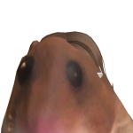 @sprinkles1395