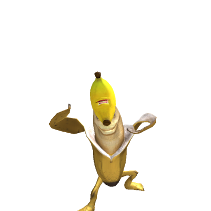 developerrobloxispro