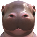 @Mxrquet