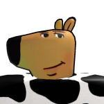 @finnppp